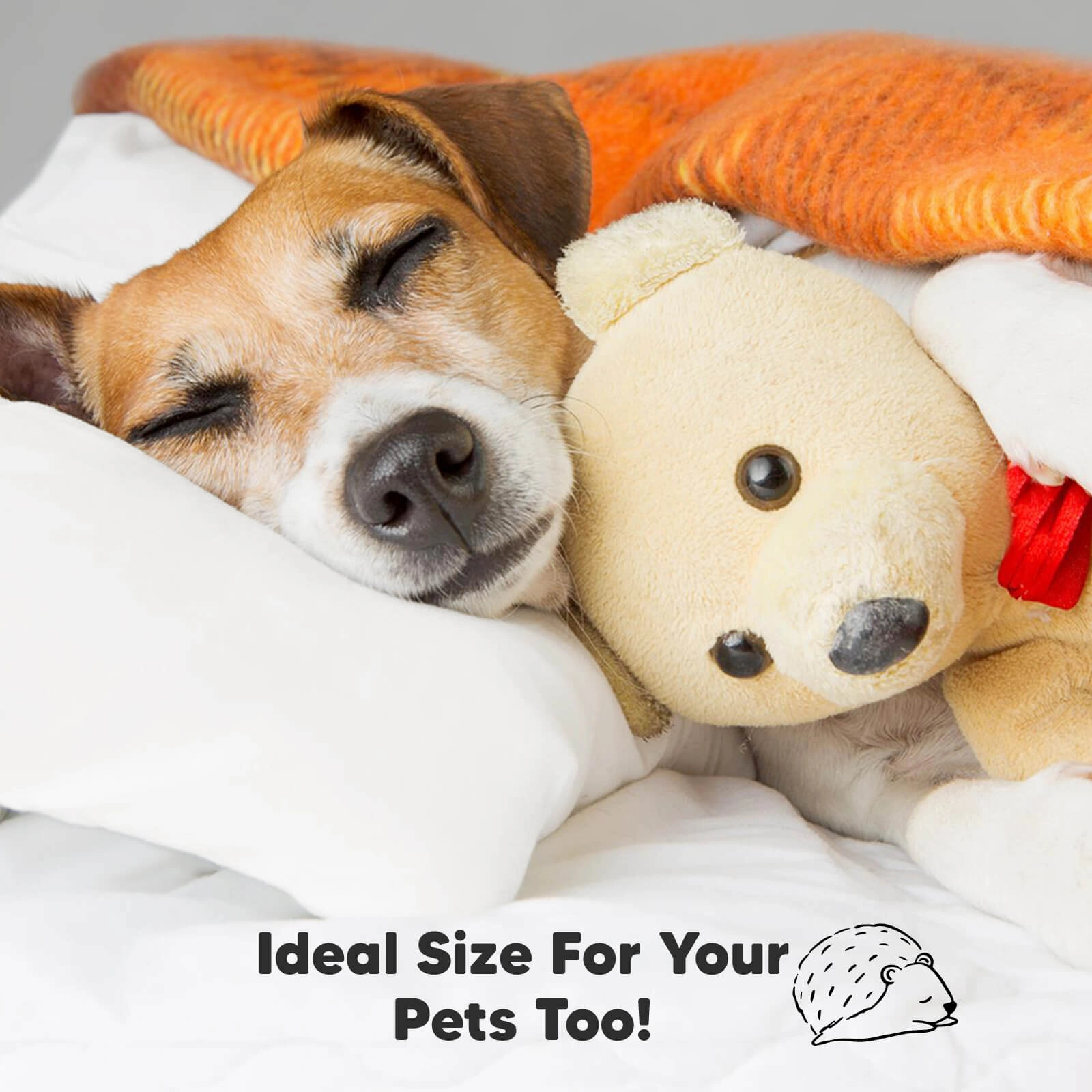 1-Pack Toddler Pillow