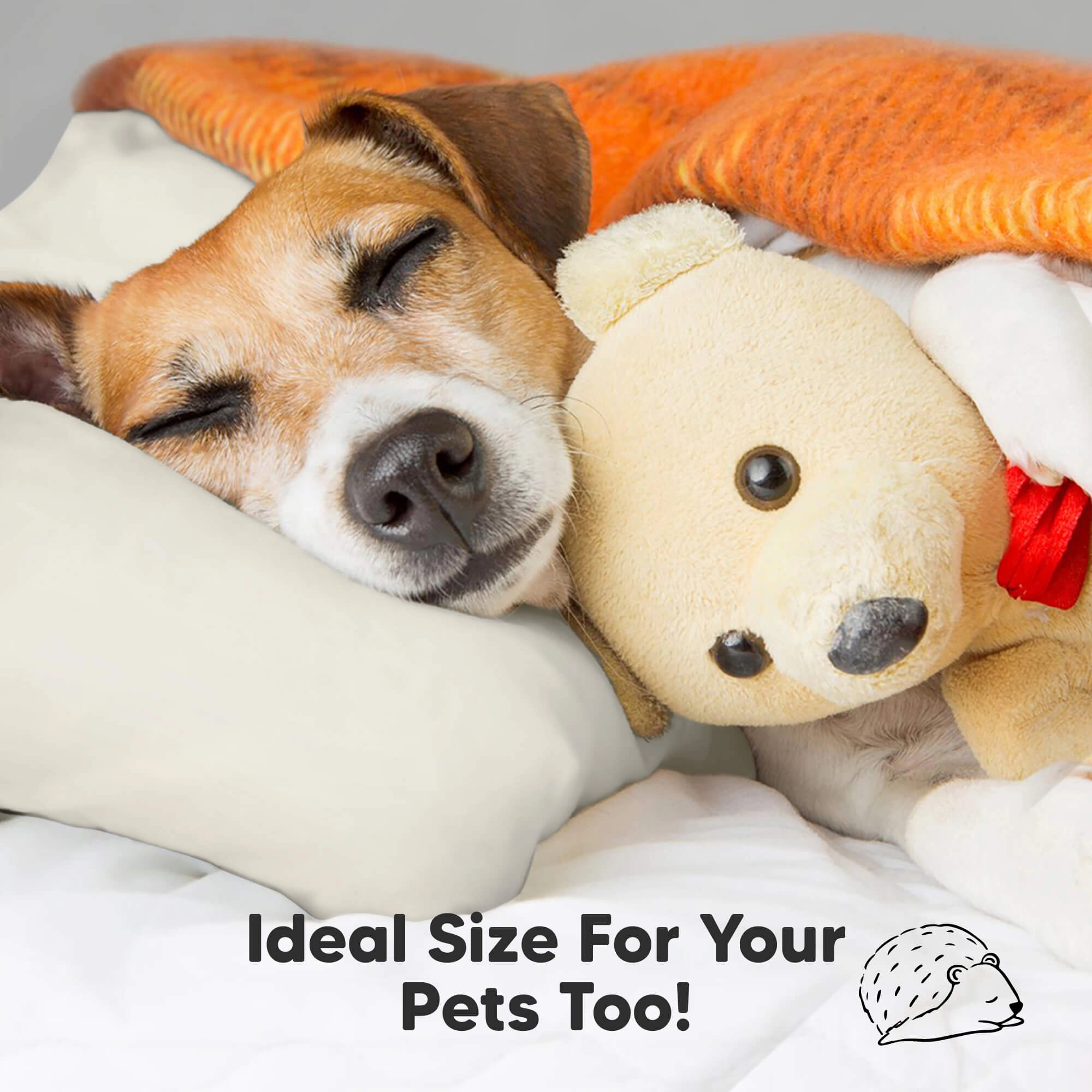 2-Pack Toddler Pillows (Clay)