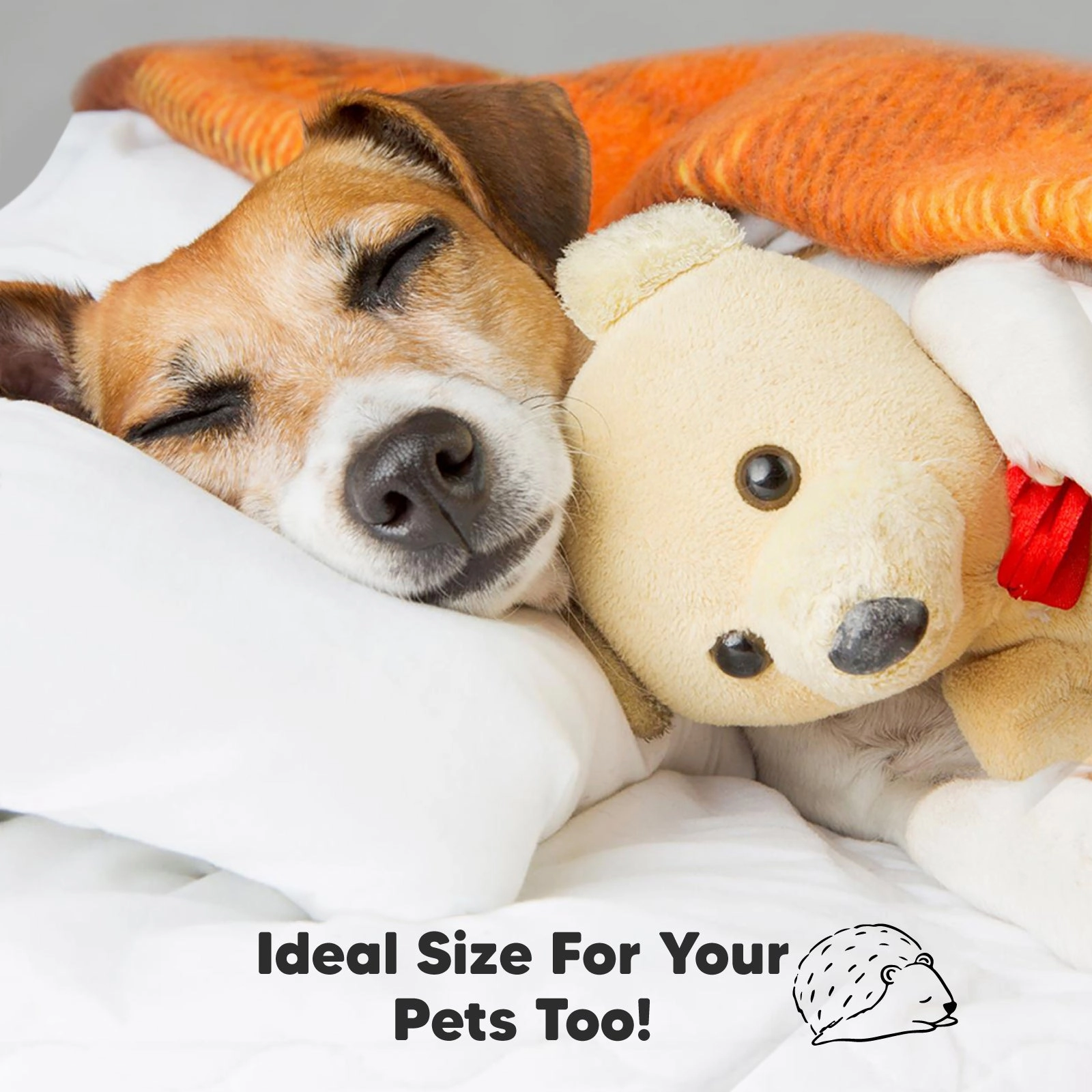 2-Pack Toddler Pillows (Nibbles/Bruce)