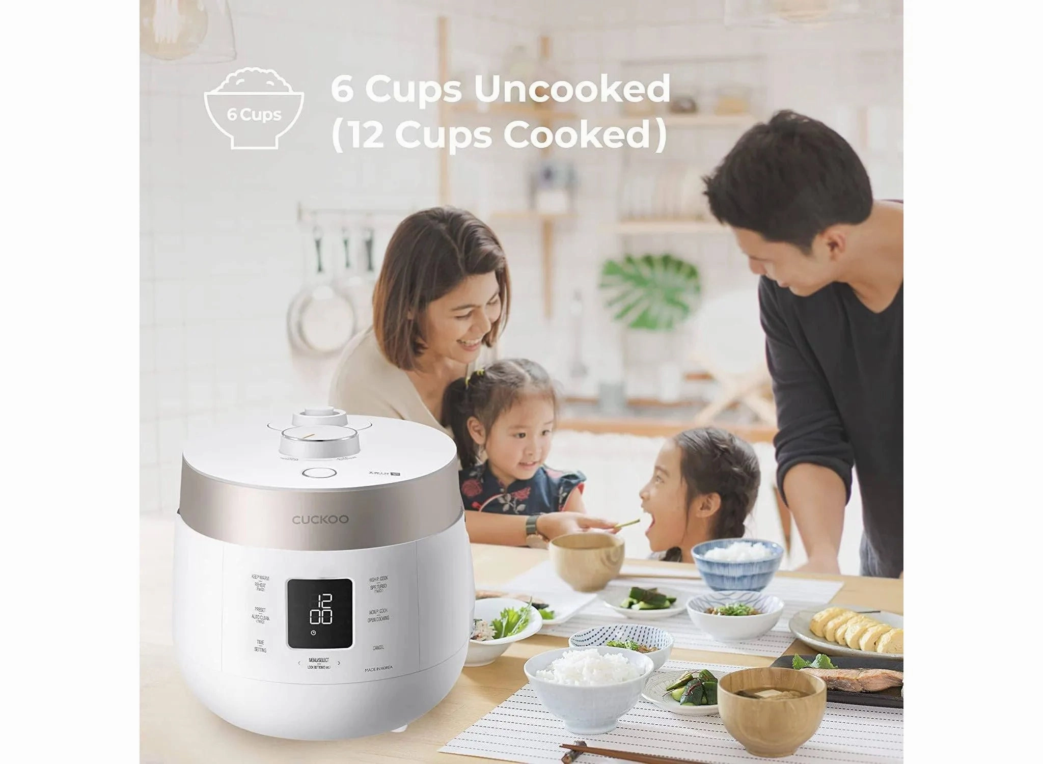 6-Cup Heating Pressure Twin Pressure Rice Cooker and Warmer