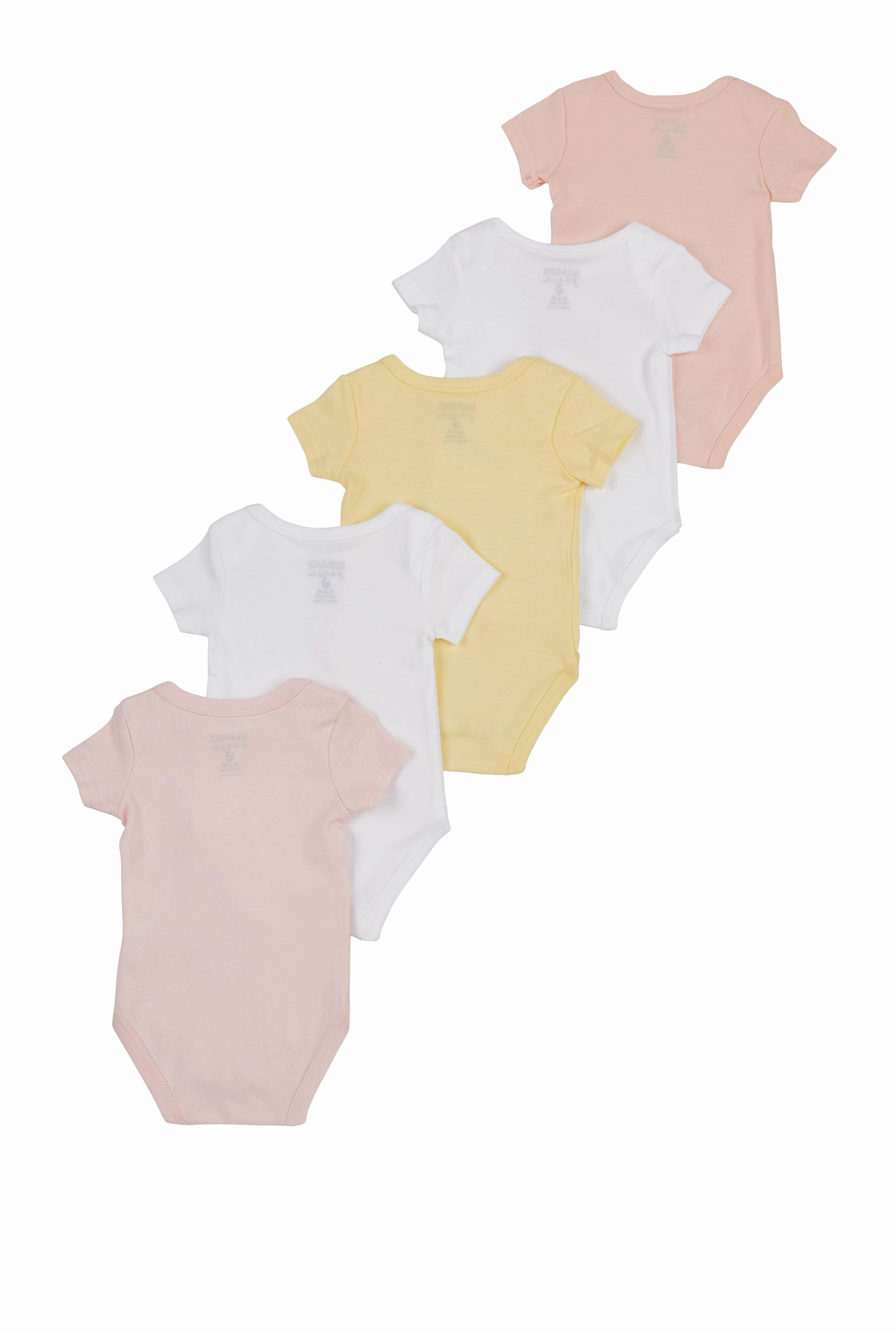 Baby Girls 0-12M Basic Bodysuits Set of 5