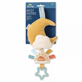 Bitzy Notes - Musical Pull Down Toy