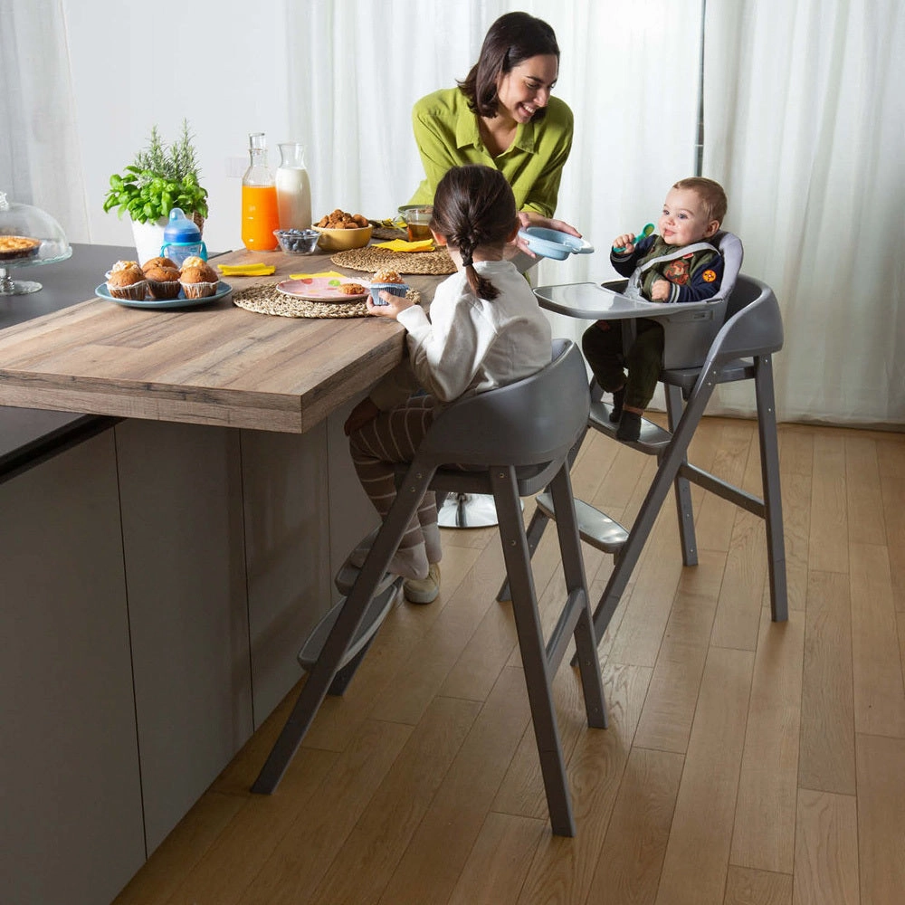 Chicco Crescendo High Chair