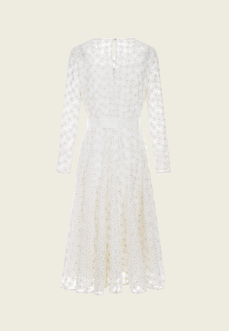 Embroidered Mesh Belted Dress