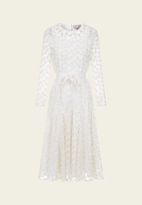 Embroidered Mesh Belted Dress