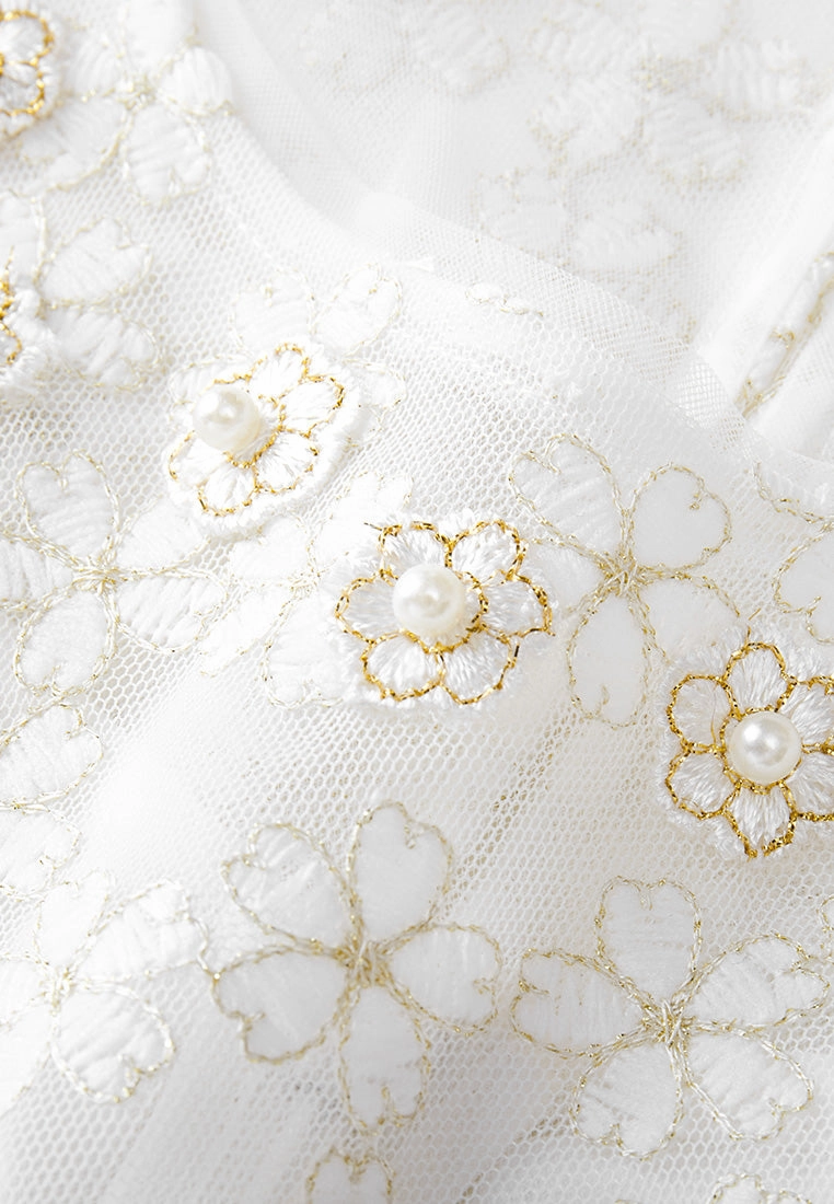 Embroidered Mesh Belted Dress