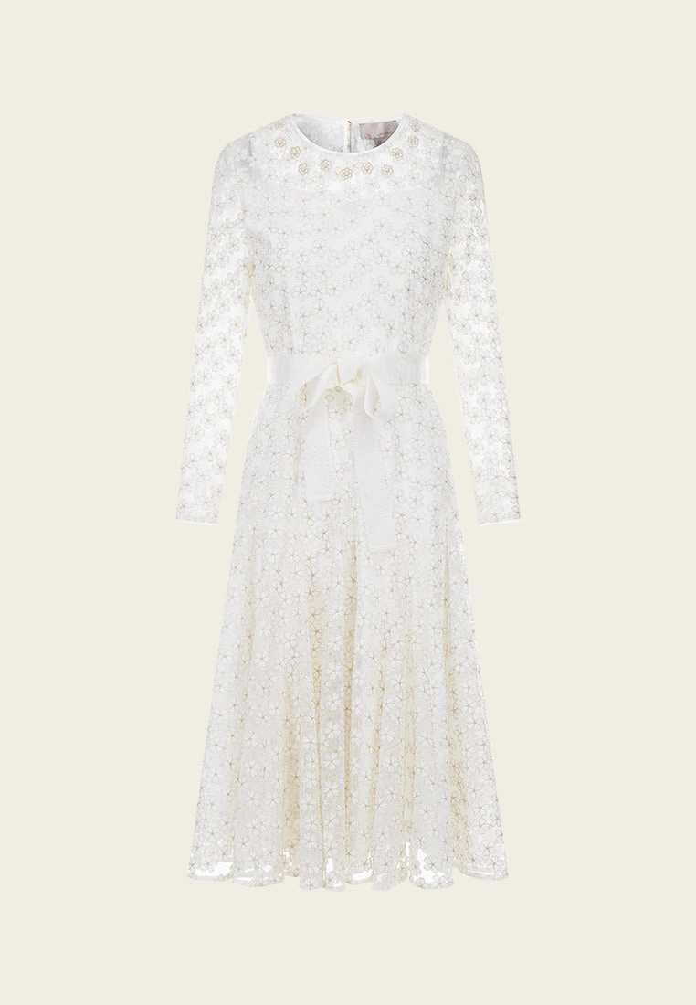 Embroidered Mesh Belted Dress