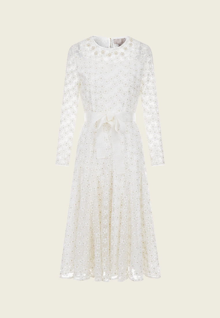 Embroidered Mesh Belted Dress