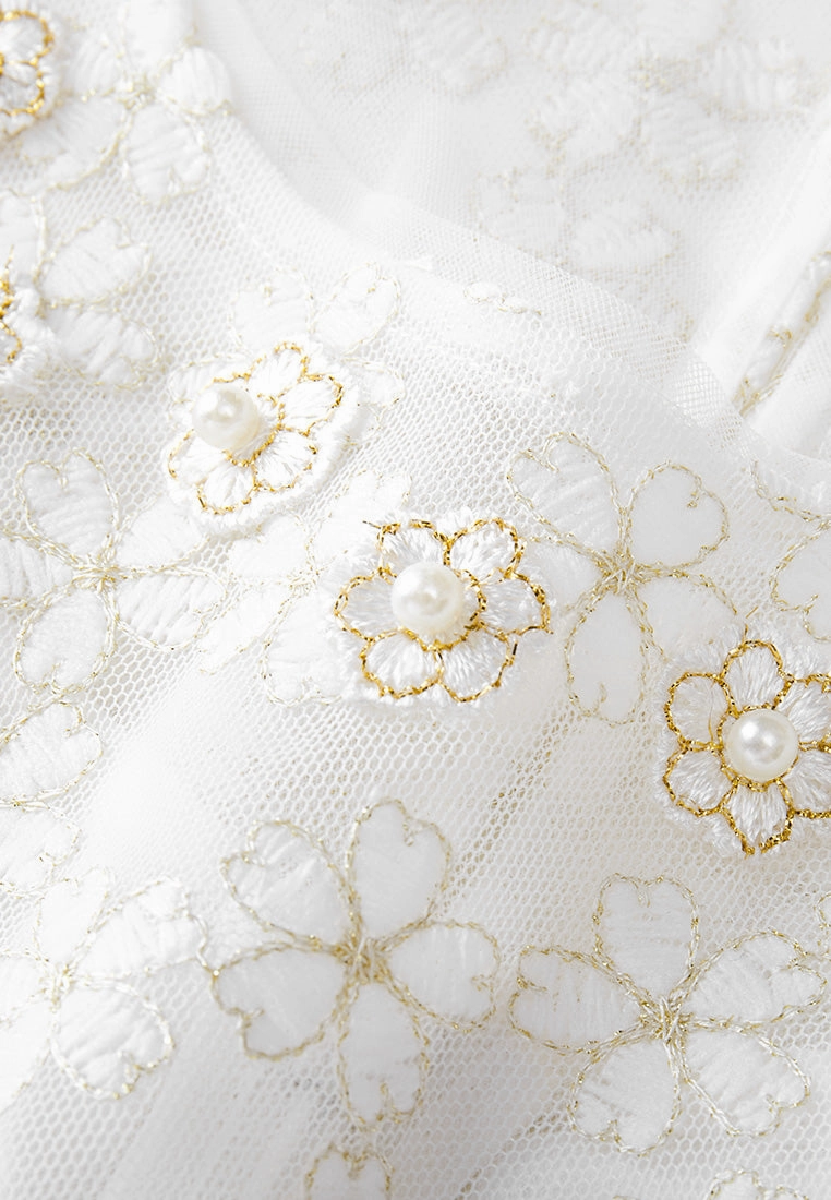 Embroidered Mesh Belted Dress