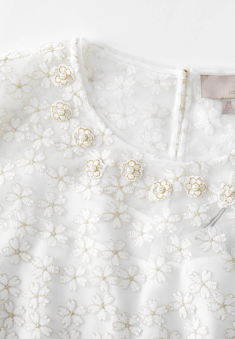 Embroidered Mesh Belted Dress