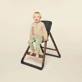 EVOLVE CHAIR - DARK WOOD