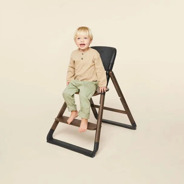 EVOLVE CHAIR - DARK WOOD