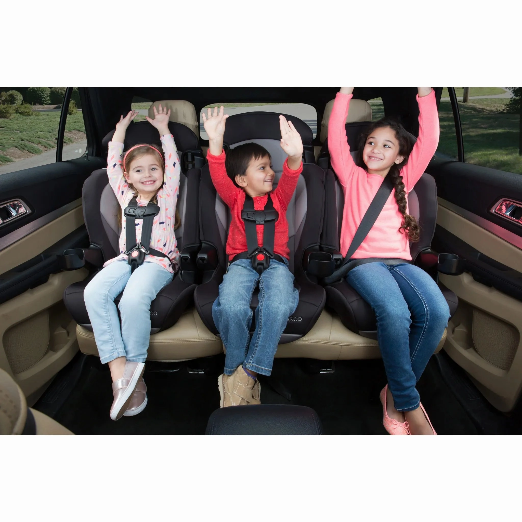 Finale DX 2-in-1 Harness Booster Car Seat - Sweetberry