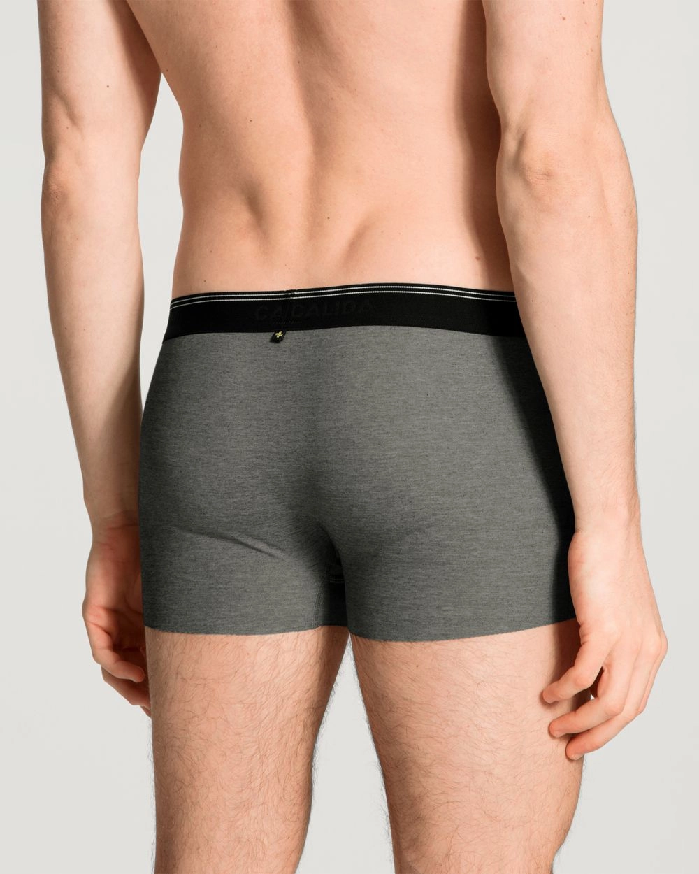 Fresh Cotton Boxer Brief