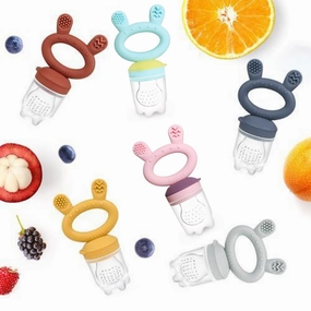 Fresh Food Teething Feeder & Cover Set VARIOUS COLOURS
