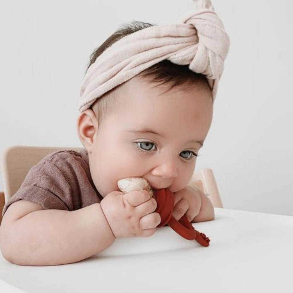 Fresh Food Teething Feeder & Cover Set VARIOUS COLOURS