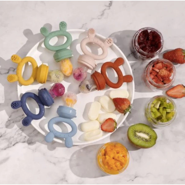 Fresh Food Teething Feeder & Cover Set VARIOUS COLOURS