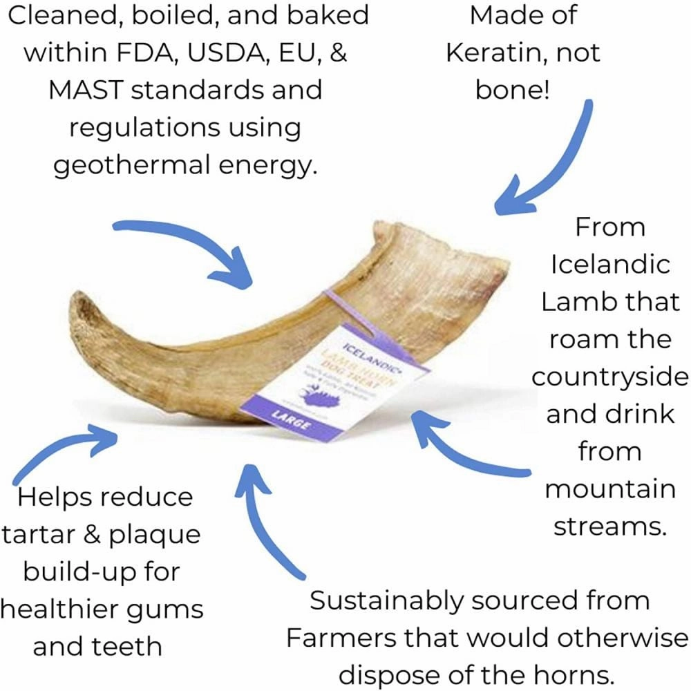 Icelandic  Large Lamb Horn Dog Treat