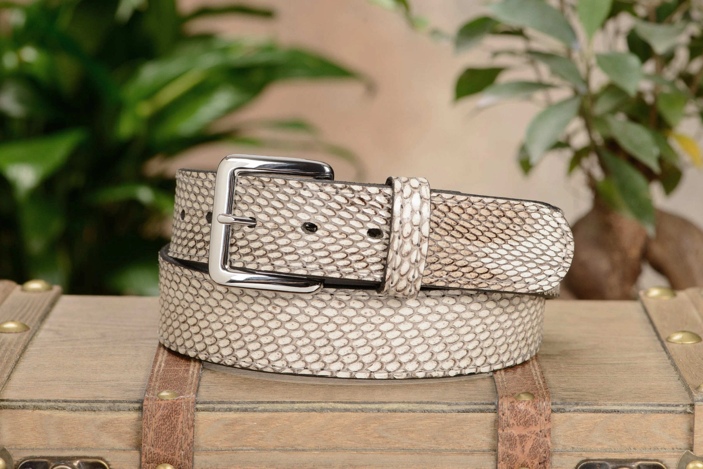 Indonesian Spitting Cobra Money Belt With 25" Zipper 1.50" Wide