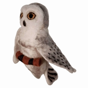 Snowy Owl, Nepal