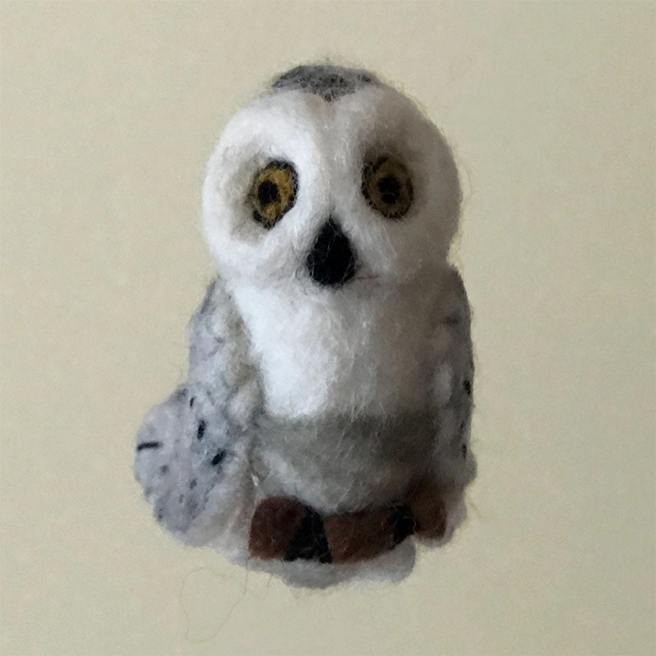 Snowy Owl, Nepal