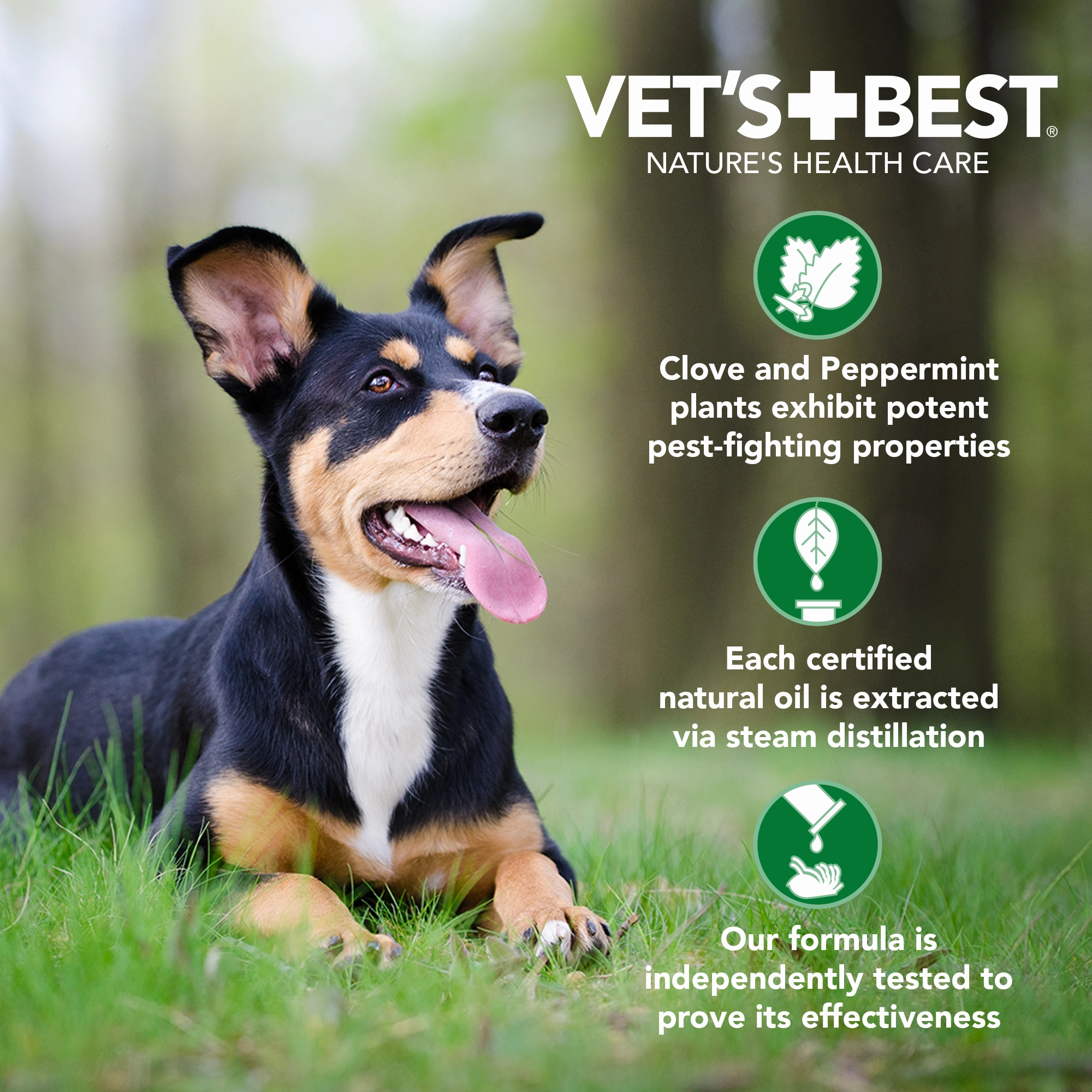 Vet's Best Flea and Tick Spot-On Small 4ct.