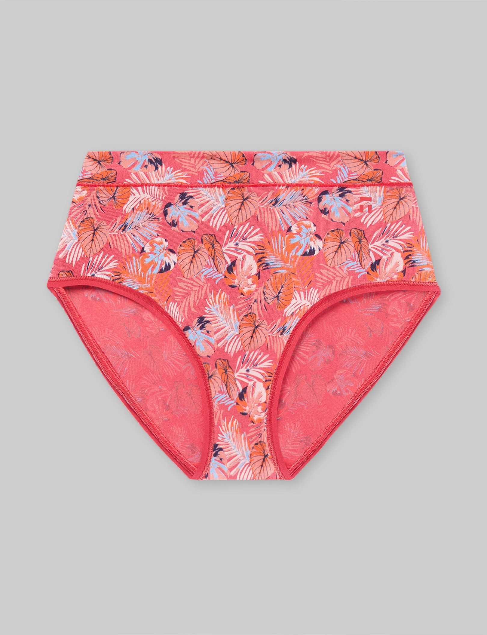 Women's Second Skin High Rise Brief